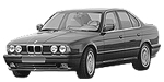 BMW E34 C0315 Fault Code
